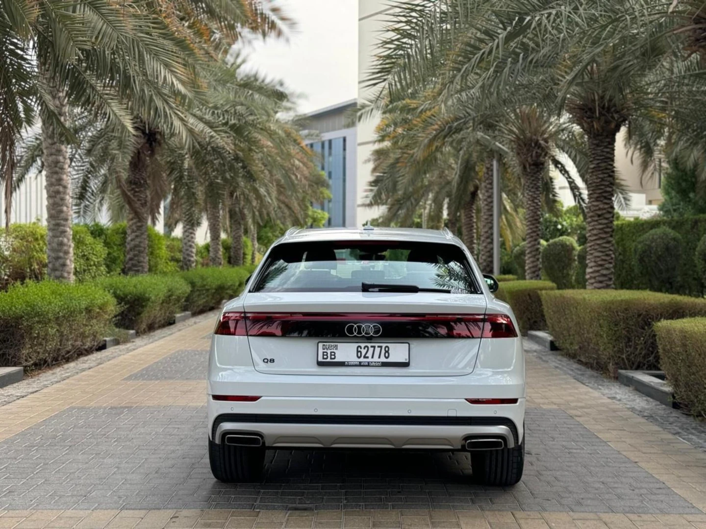 Audi Q8 2024 - SUV thumbnail NaN